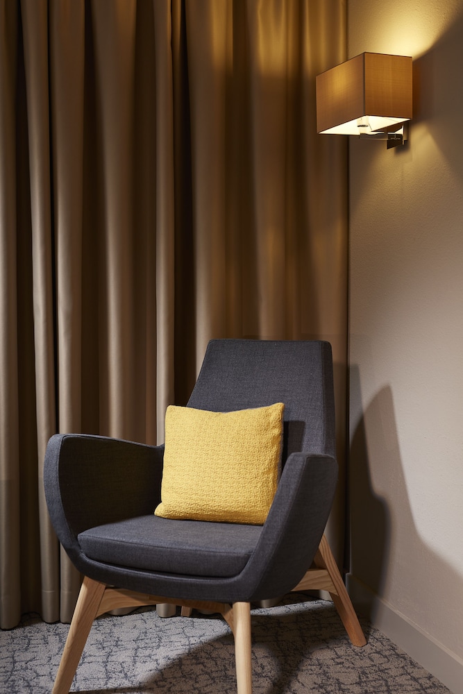 水星克马尔中央安特林登酒店(Mercure Colmar Centre Unterlinden Hotel) 图片4