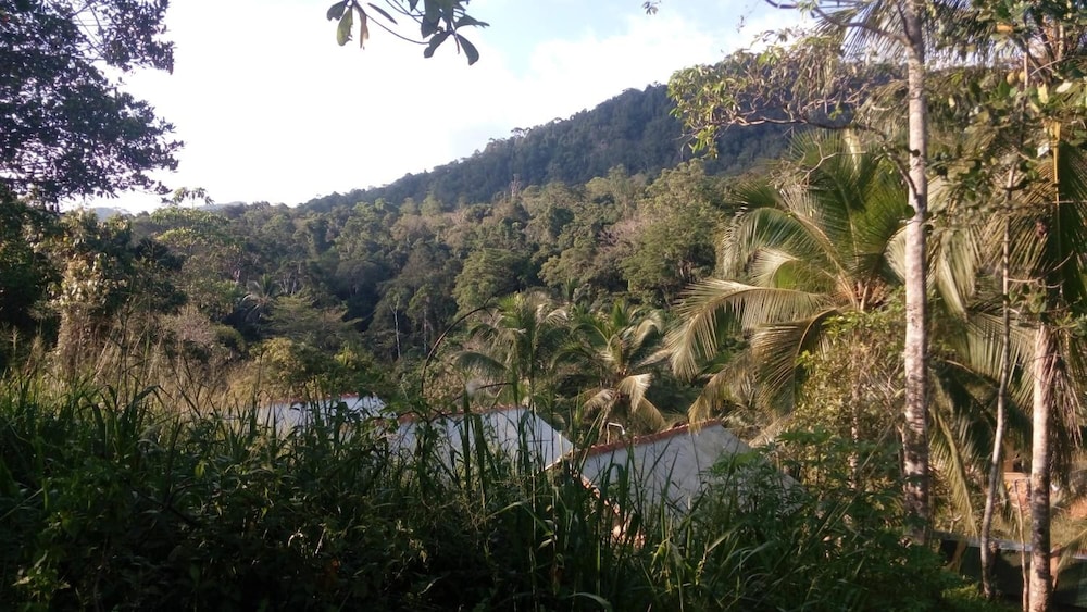 Sinharaja Rainforest View Villas 36/50