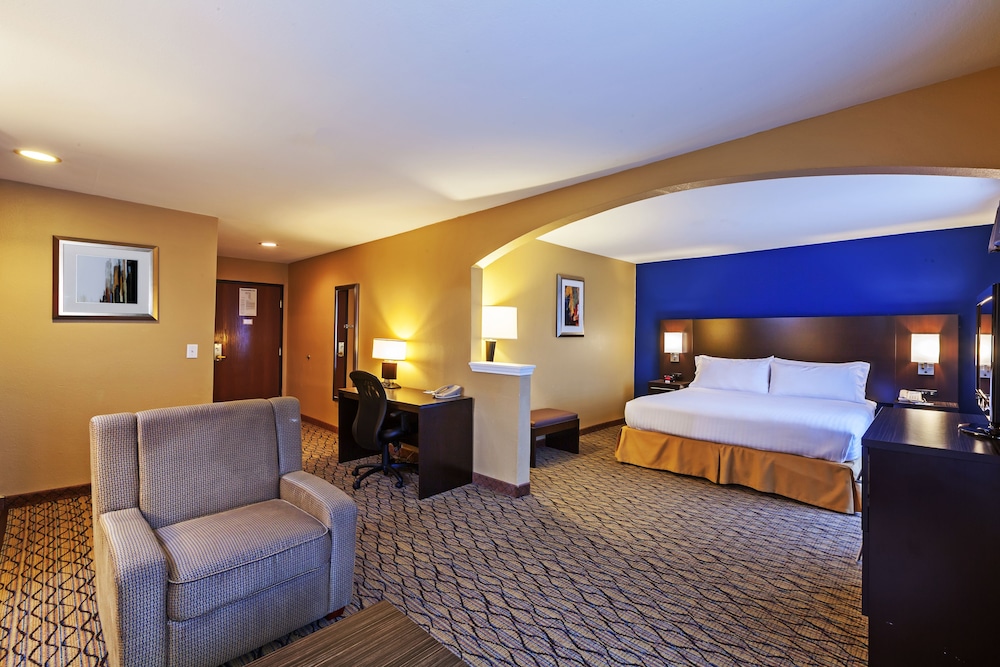 Holiday Inn Express Hotel And Suites Houston Downtown Convention Center 21/72