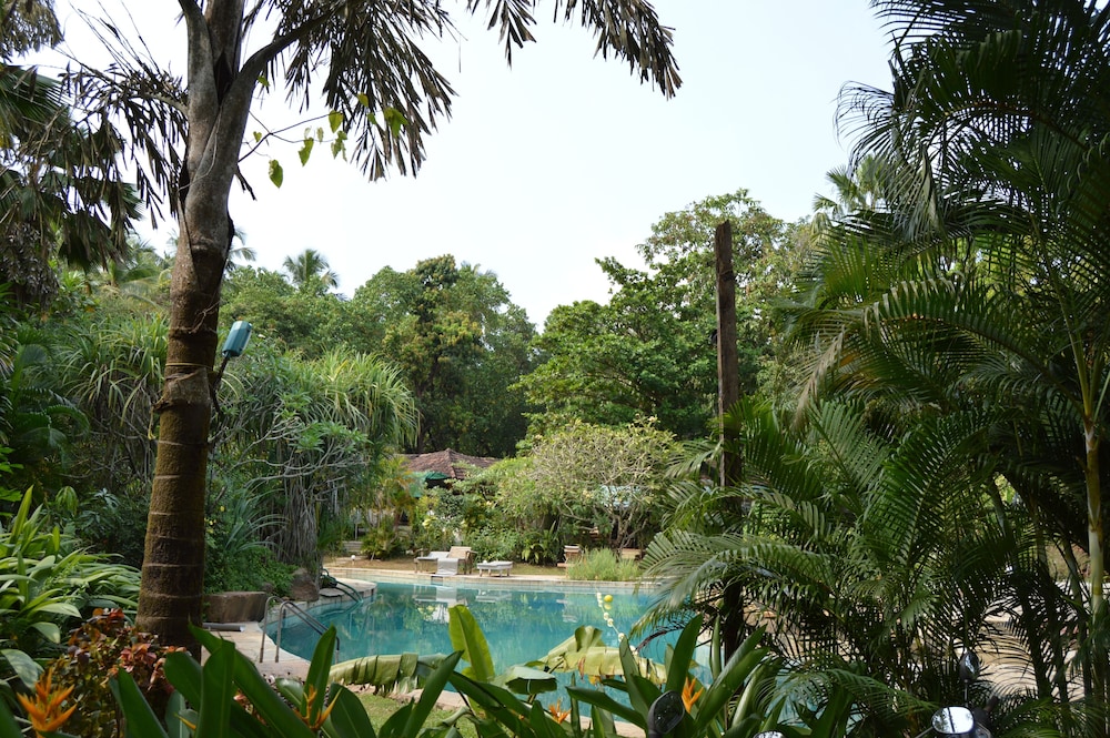 Laguna Anjuna in ANJUNA - GOA