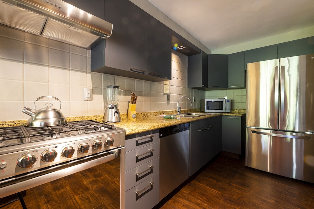 Dominion Polanco Ex Dominion Corporate Suites 4/50