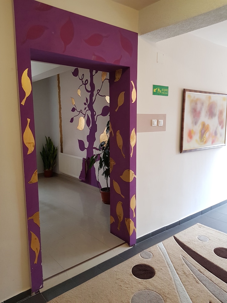 Tranzzit Hotel 9/44