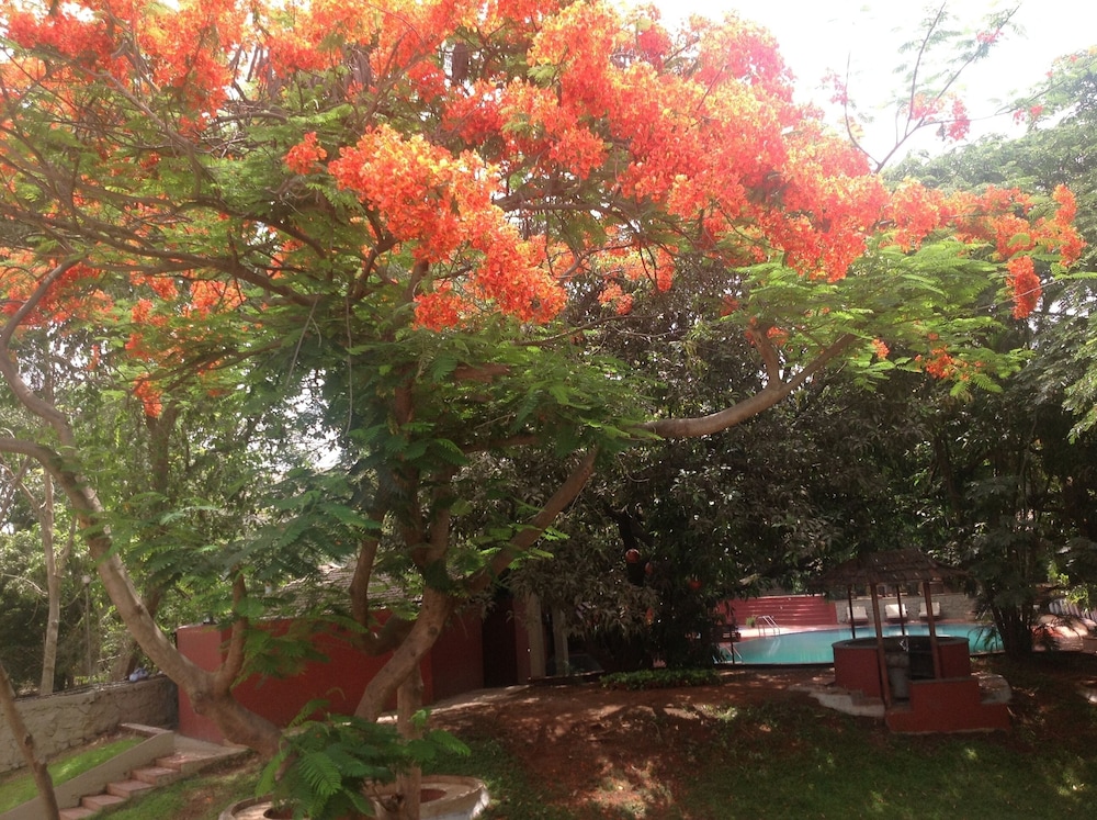 Outpost at Alibaug 49/53