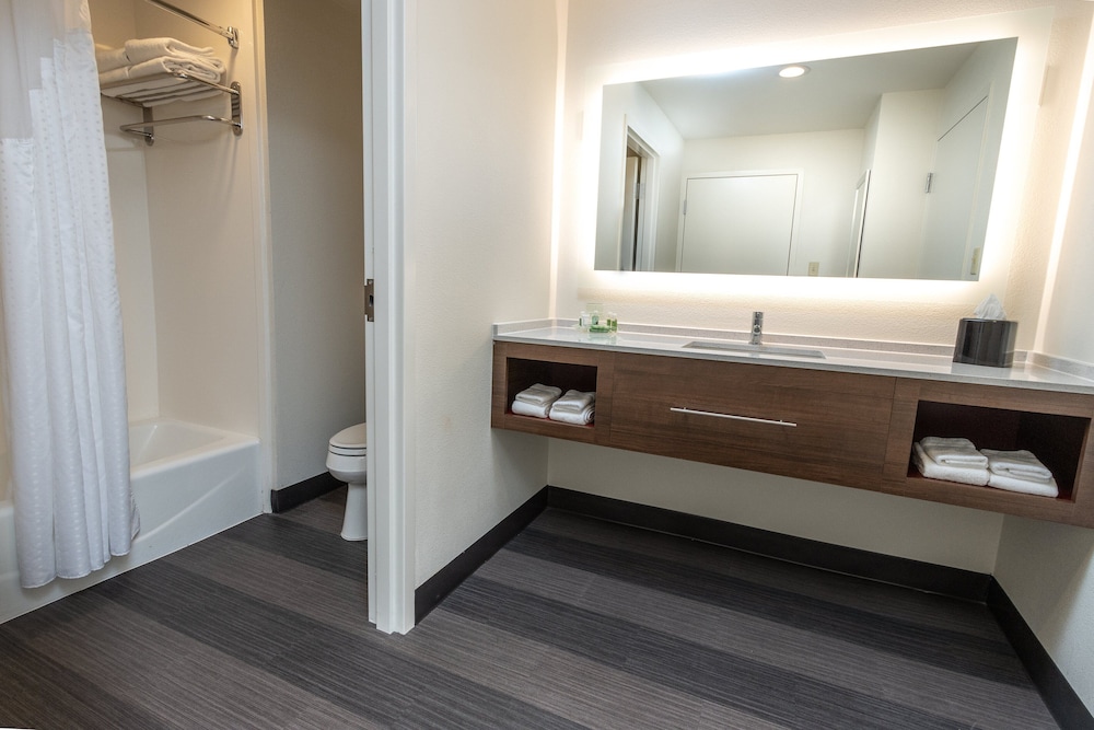 Holiday Inn Suites Memphis Wolfchase Galleria 27/79