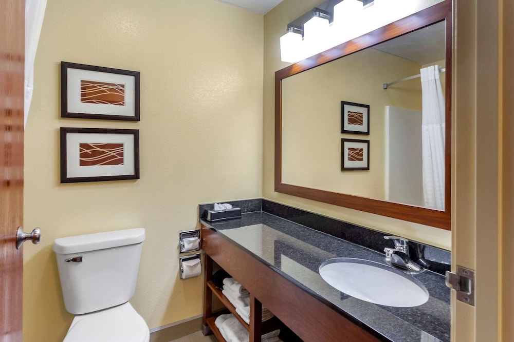 Comfort Inn and Suites North Aurora Naperville 42/50