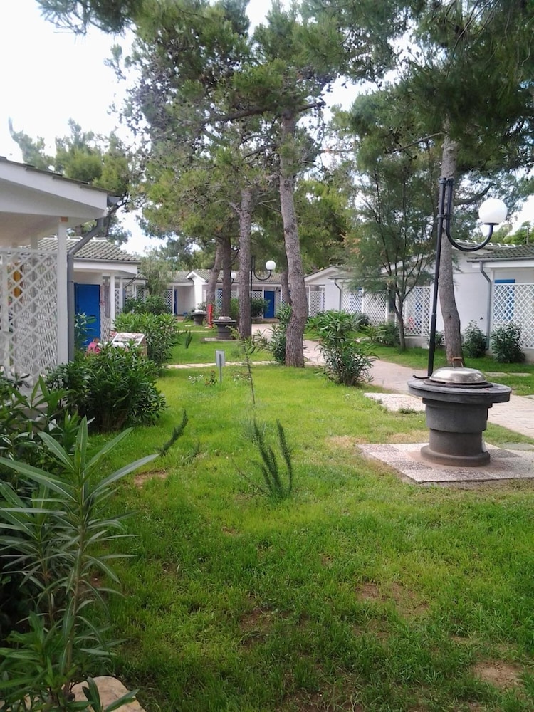 surroundings