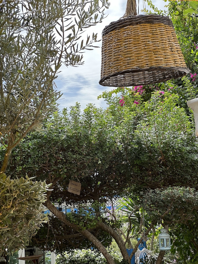 KAYEZTA HOTEL 3/49