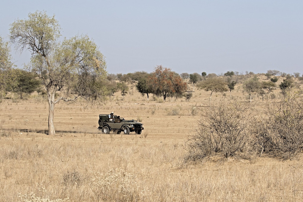 THE MANAVAR RESORT AND CAMP 37/50