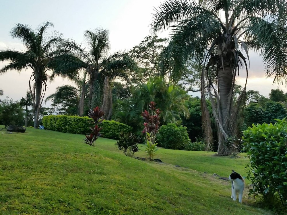 Cottage Hana Mana 32/50