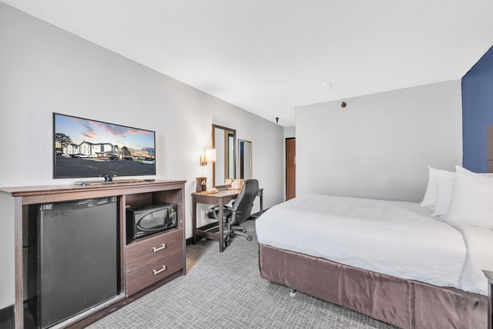 Room, King Bed