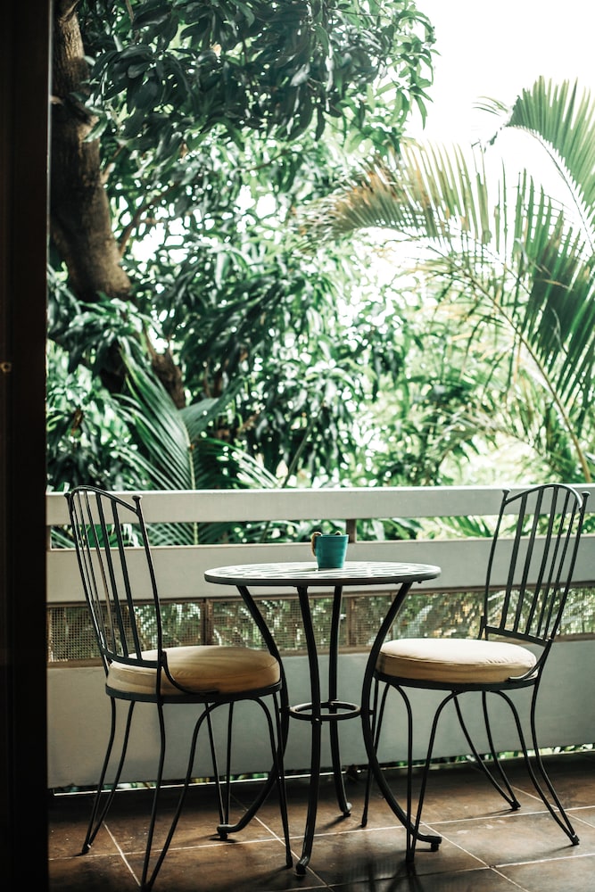 Joli Guesthouse 44/50