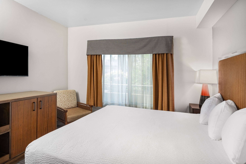 SUITE, KING BED, SOFA