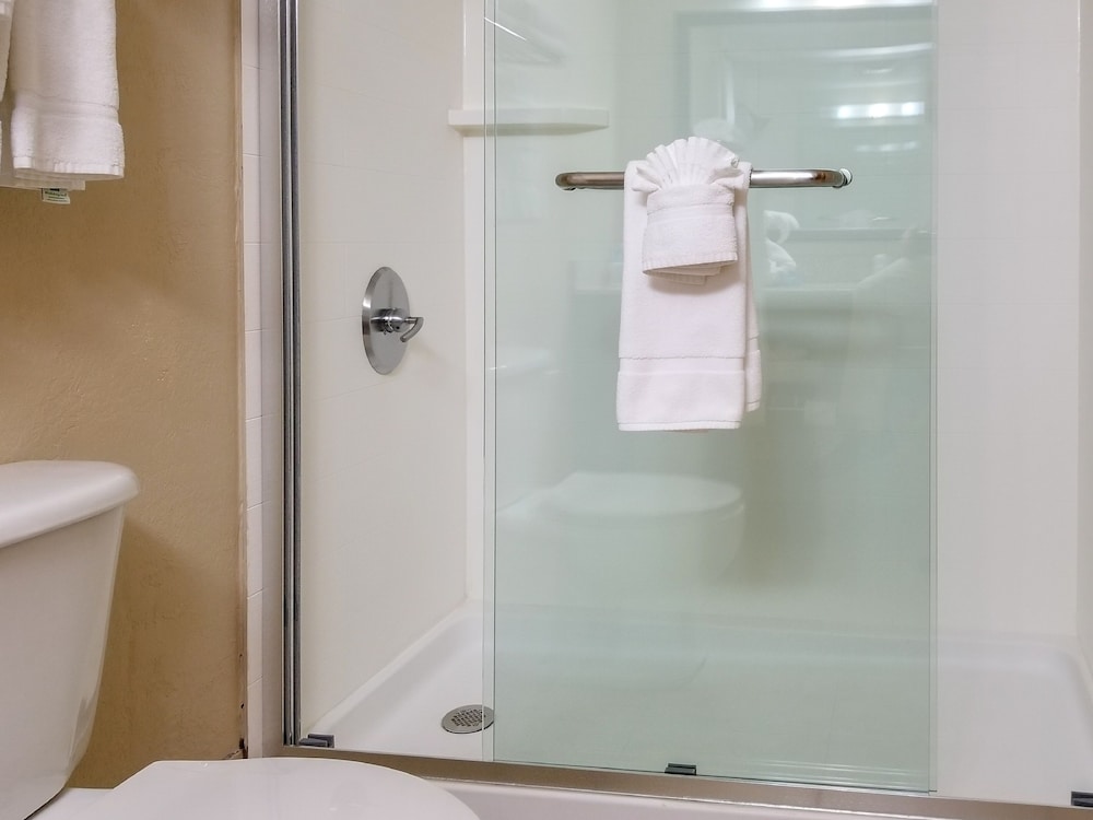 Holiday Inn Express Hotel And Suites Orange City 24/63