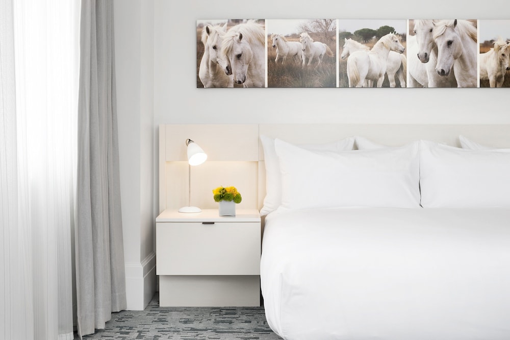 21C Museum Lexington Hotel 30/65