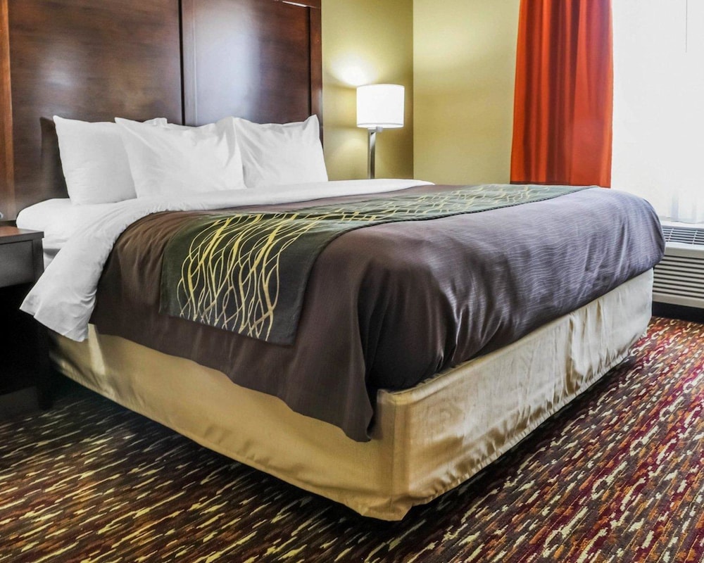Comfort Inn & Suites Artesia, NM 18/40