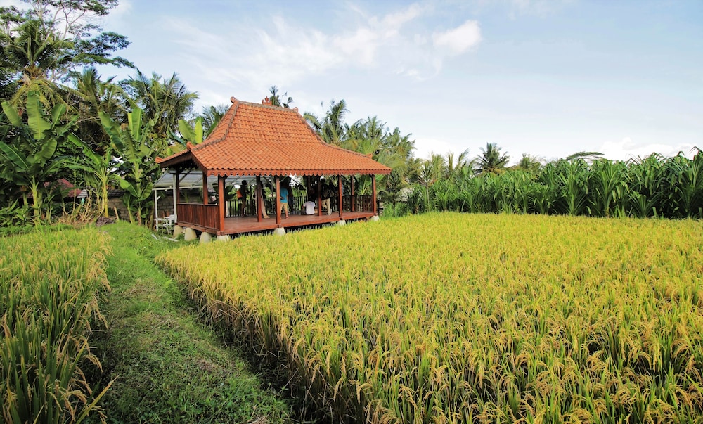 Alam Kawi Ubud Resort & Spa 37/45