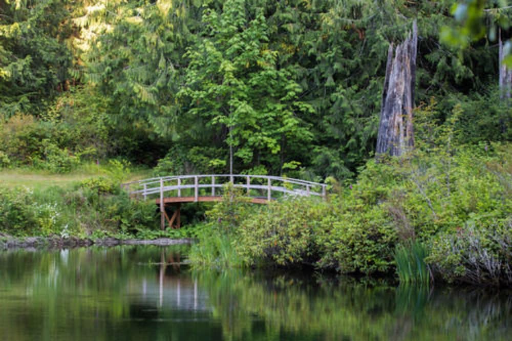 A Hidden Haven & Water Garden Cottages 30/48
