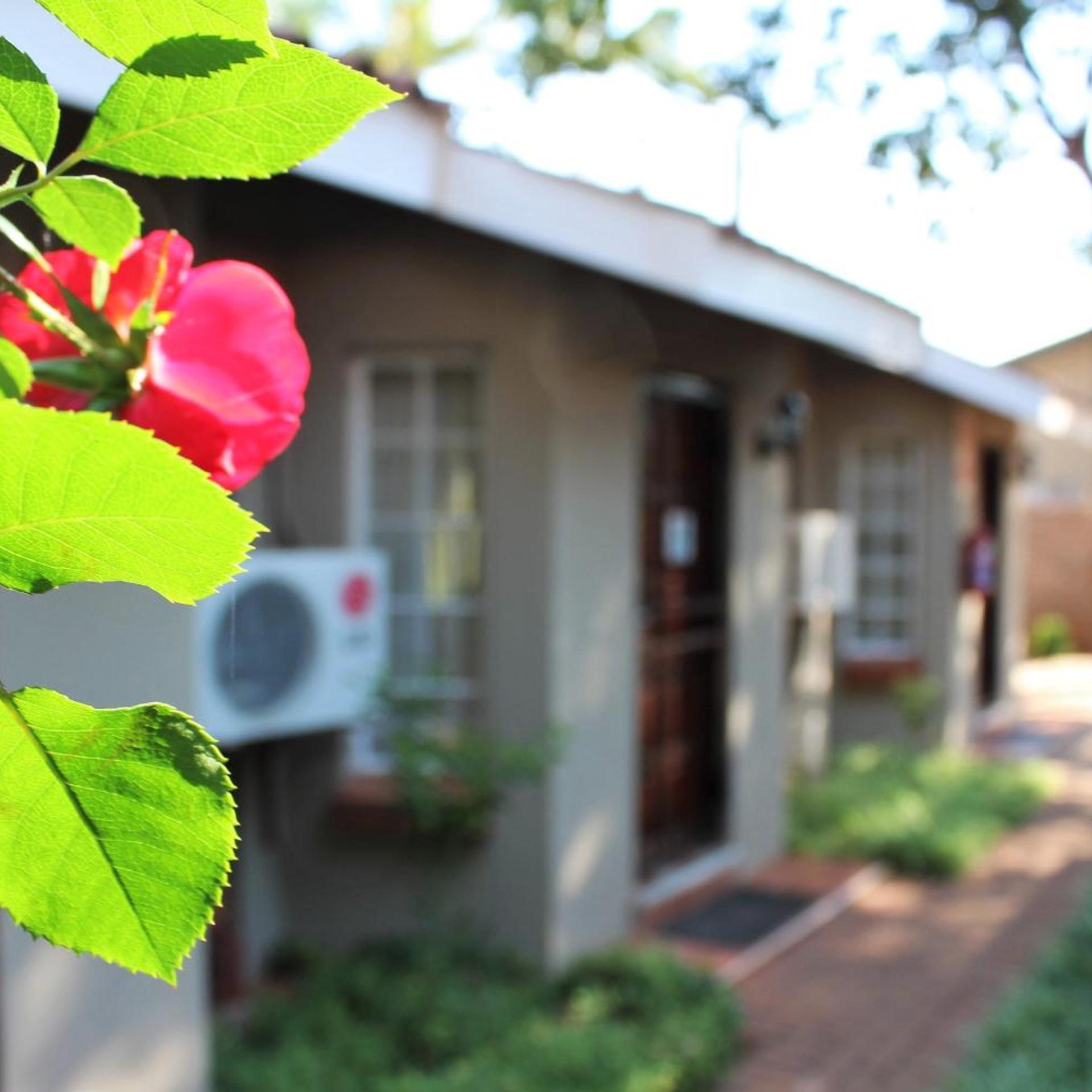 Ngwenya Boutique Hotel 1/49