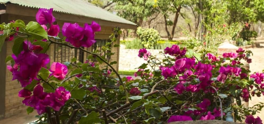 Woodlands Lilongwe 28/34