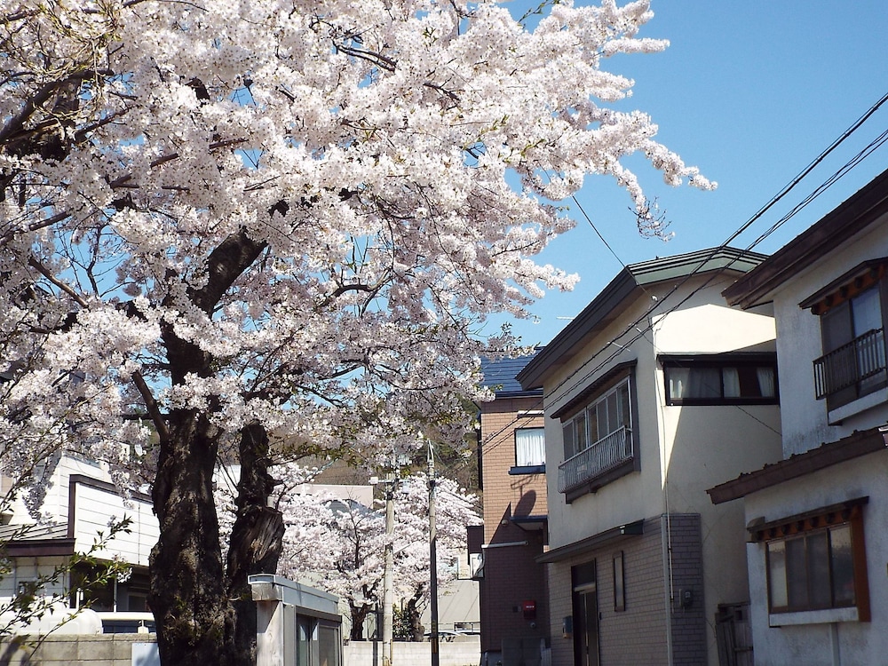 Tsubakikan 31/32