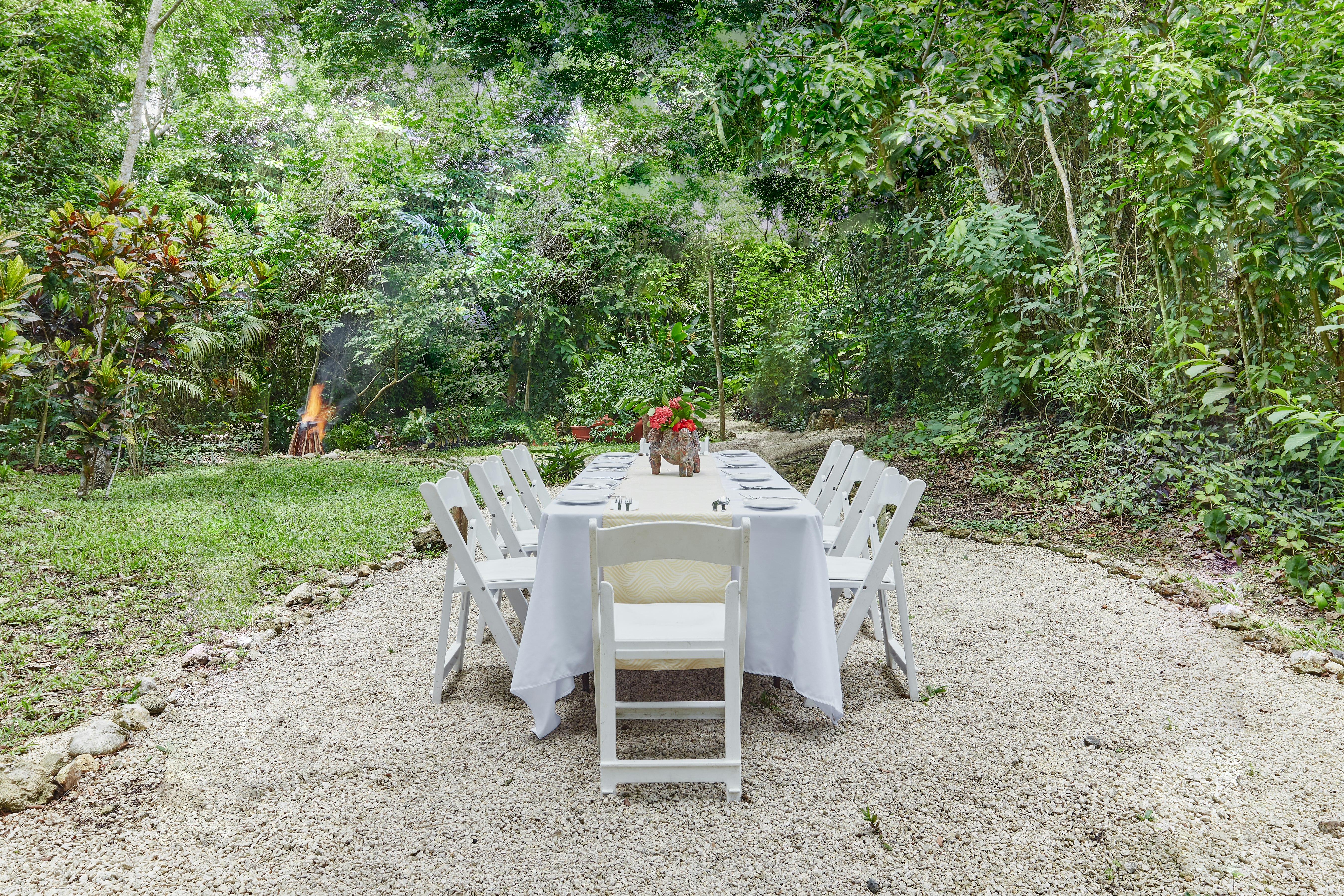 The Explorean Selva Maya Kohunlich 33/50