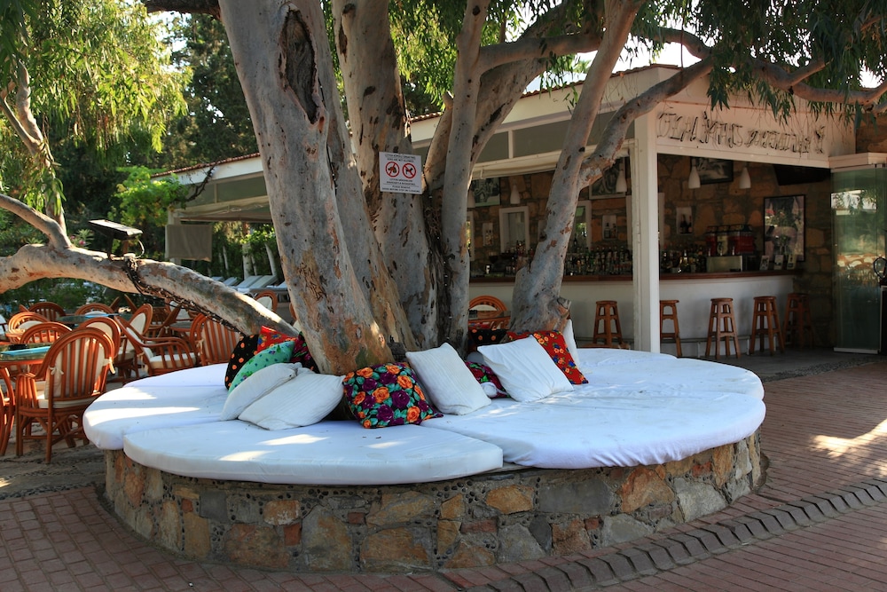 Okaliptus Otel 8/50