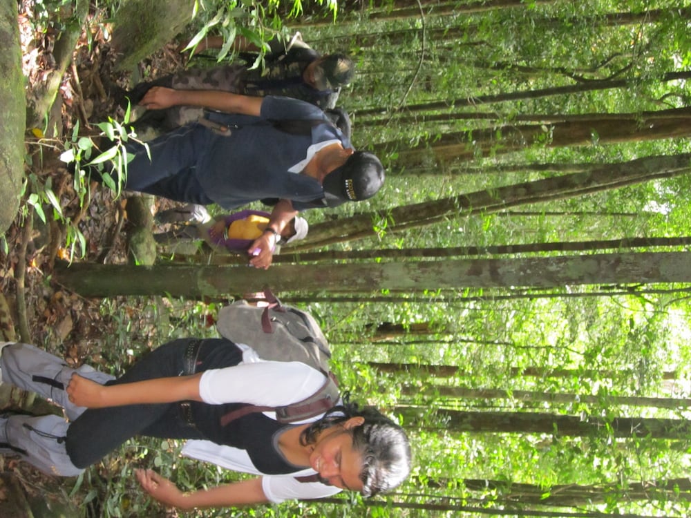 Mahoora Tented Safari Camp - Sinharaja 22/31