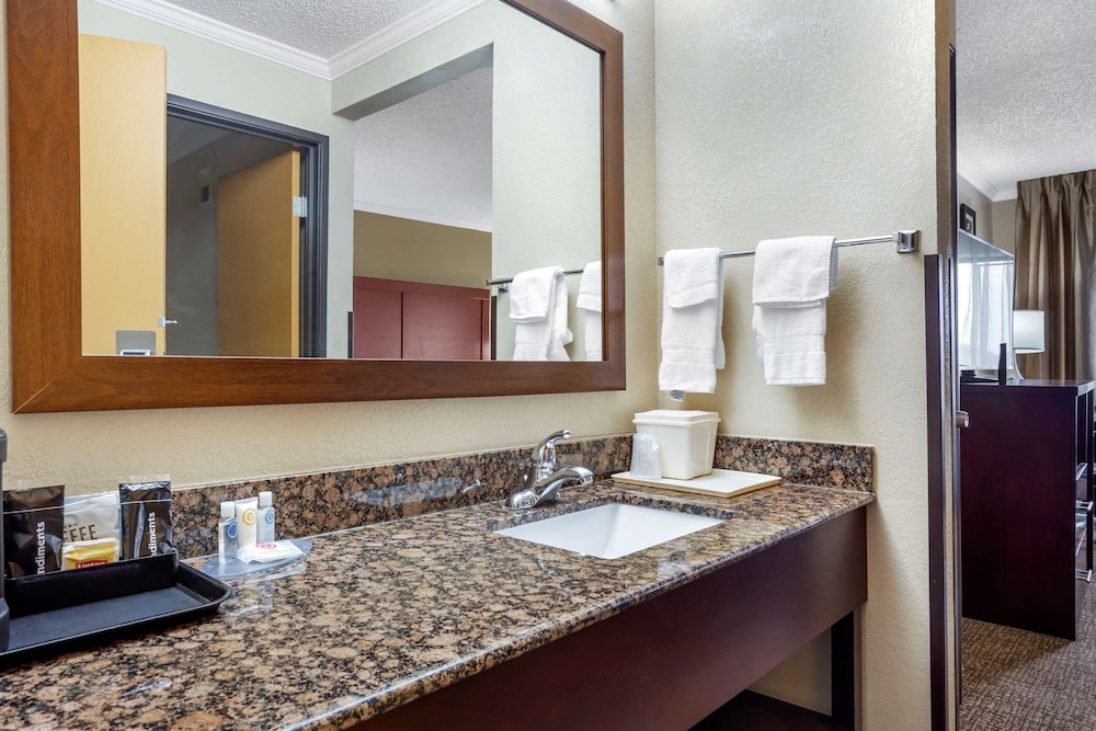 Comfort Inn Hoffman Estates Schaumburg 14/33