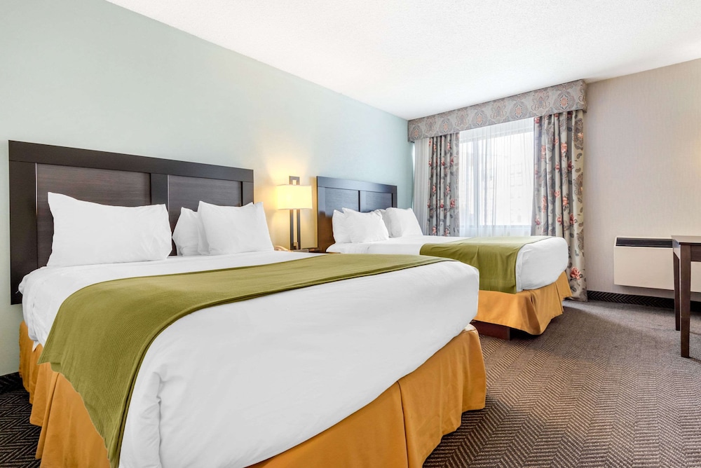 Quality Inn & Suites Mississauga 11/41