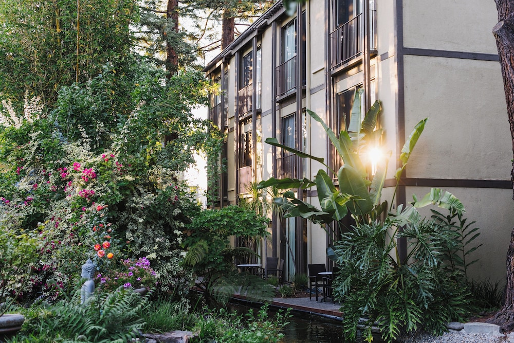 Dinah's Garden Hotel 3/60