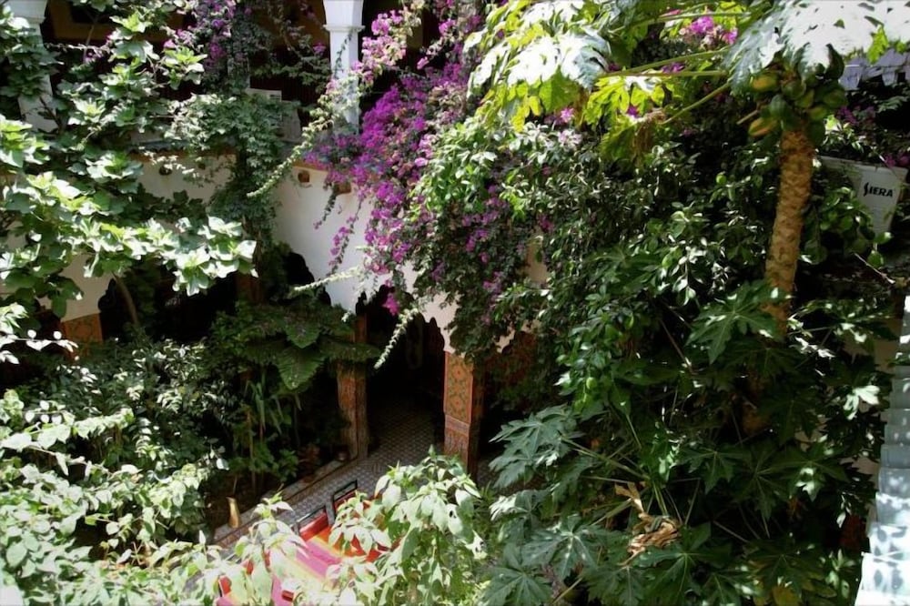 Riad Maryam 47/50