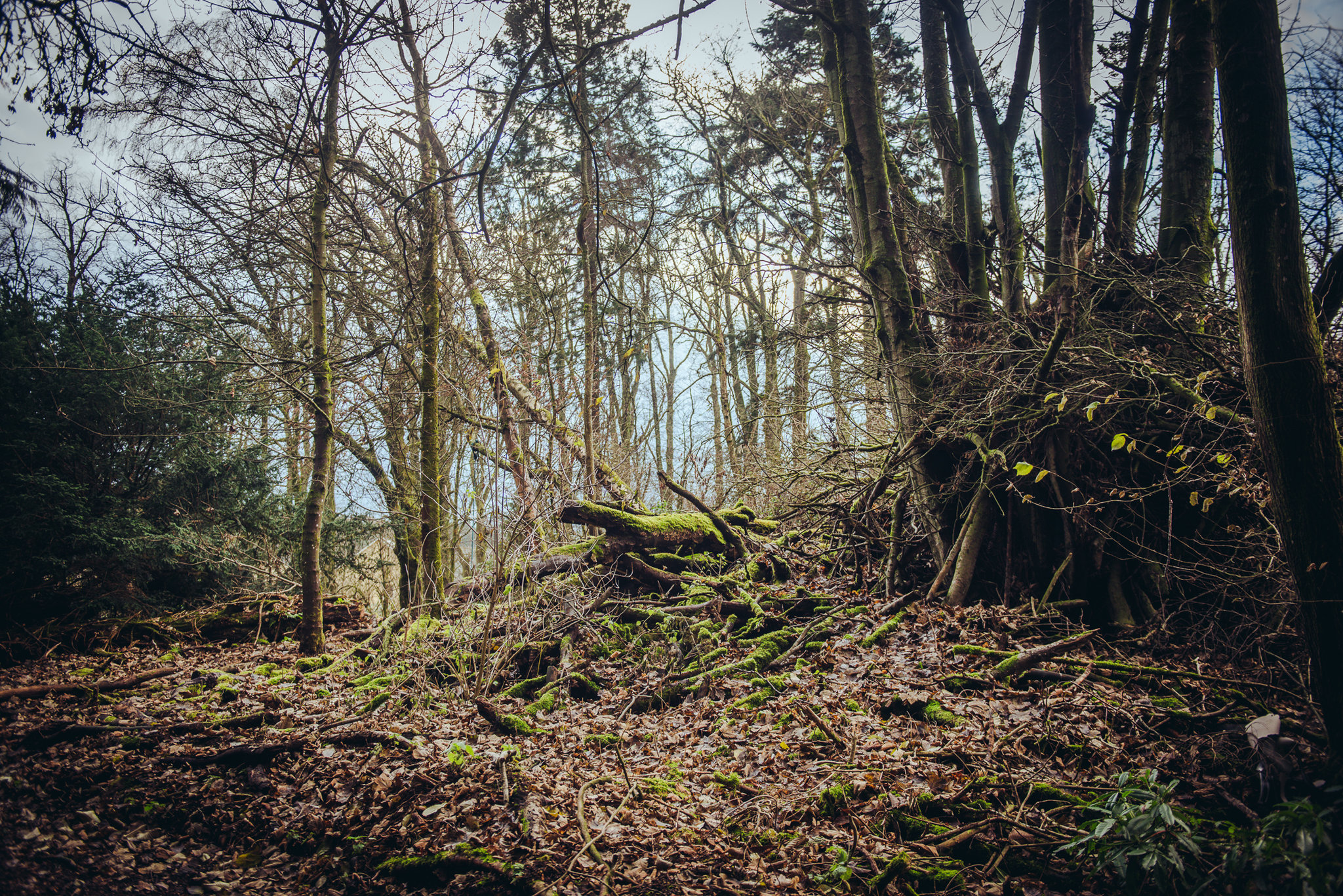 Cornhill Castle 41/52