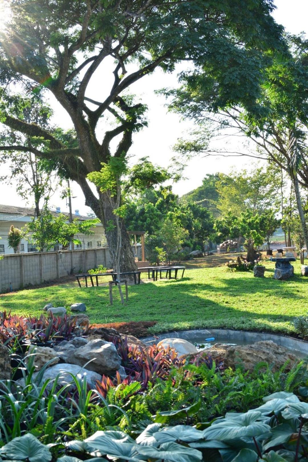 Dd Garden Home 53/57