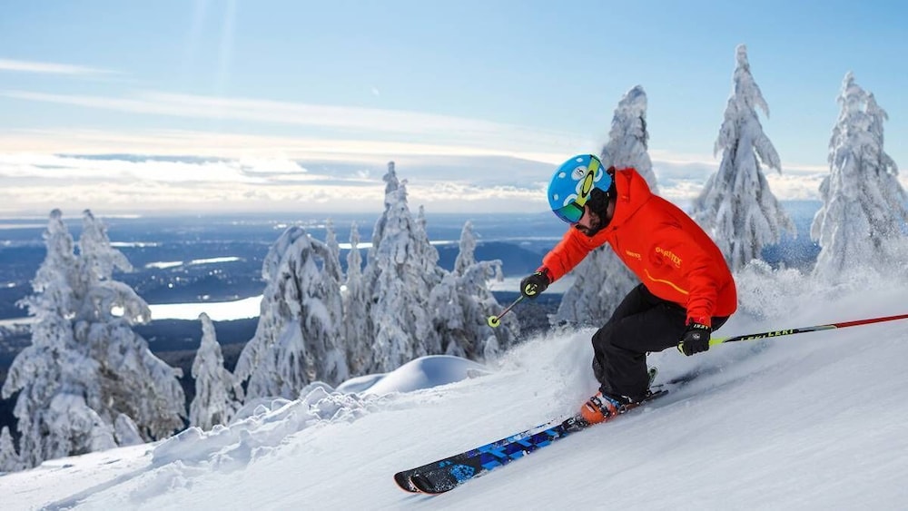 The Sylvia 58/60