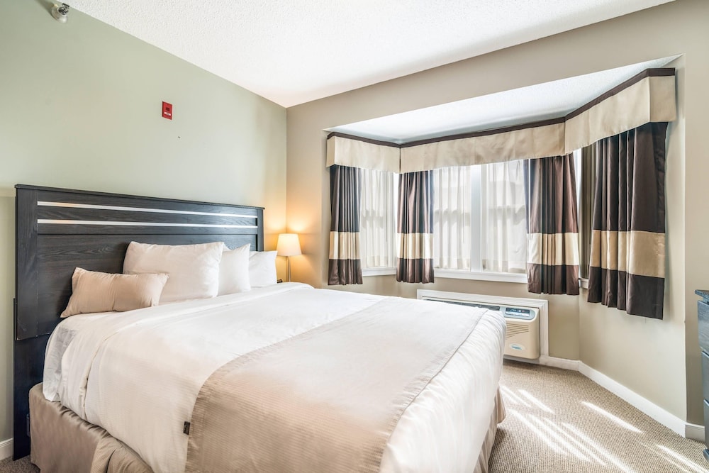 Suite, Queen Bed, Sofa