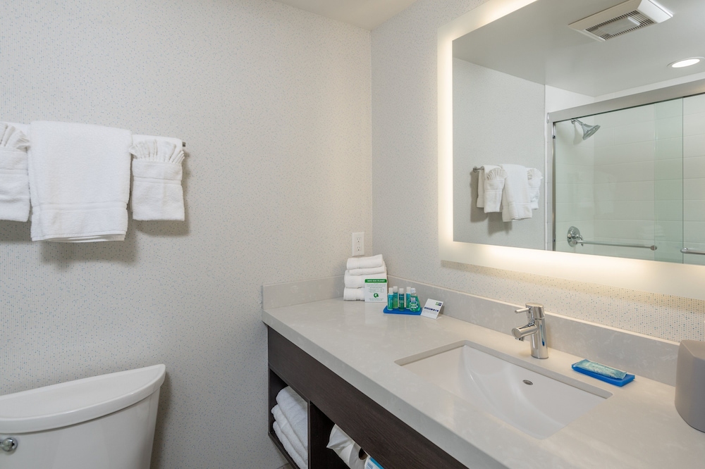 HOLIDAY INN EXPRESS SUNNYVALE - SILICON VALLEY 24/78