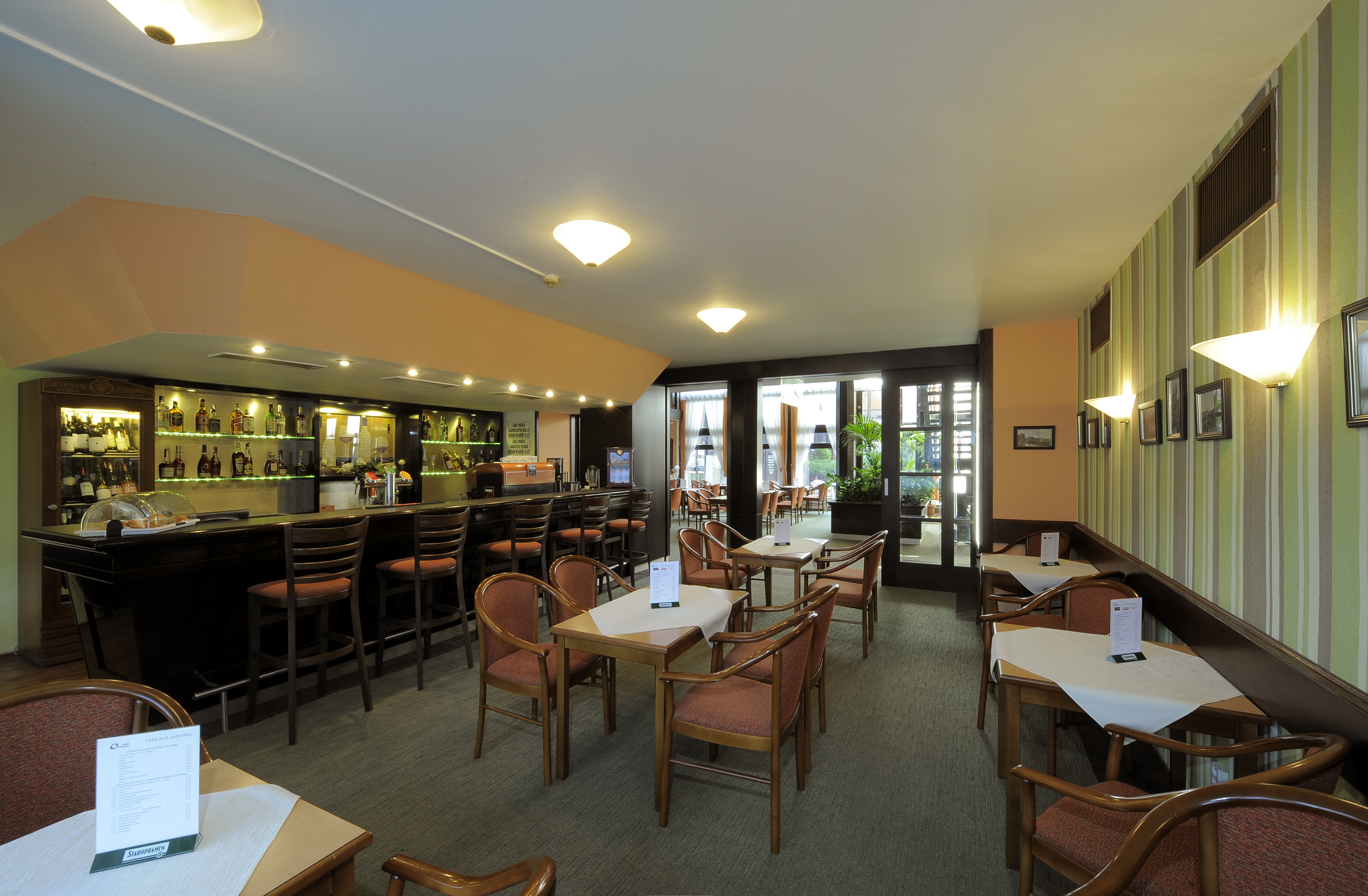 Congress and Wellness Hotel Olsanka Superior 30/42
