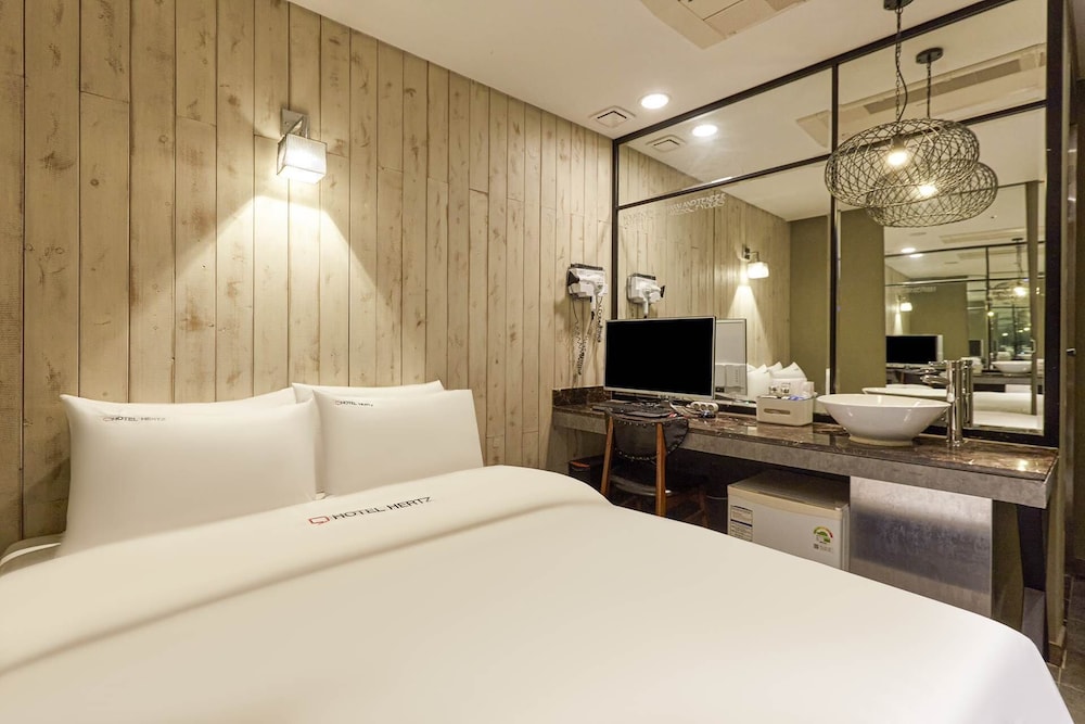 Hotel Hertz 14/31