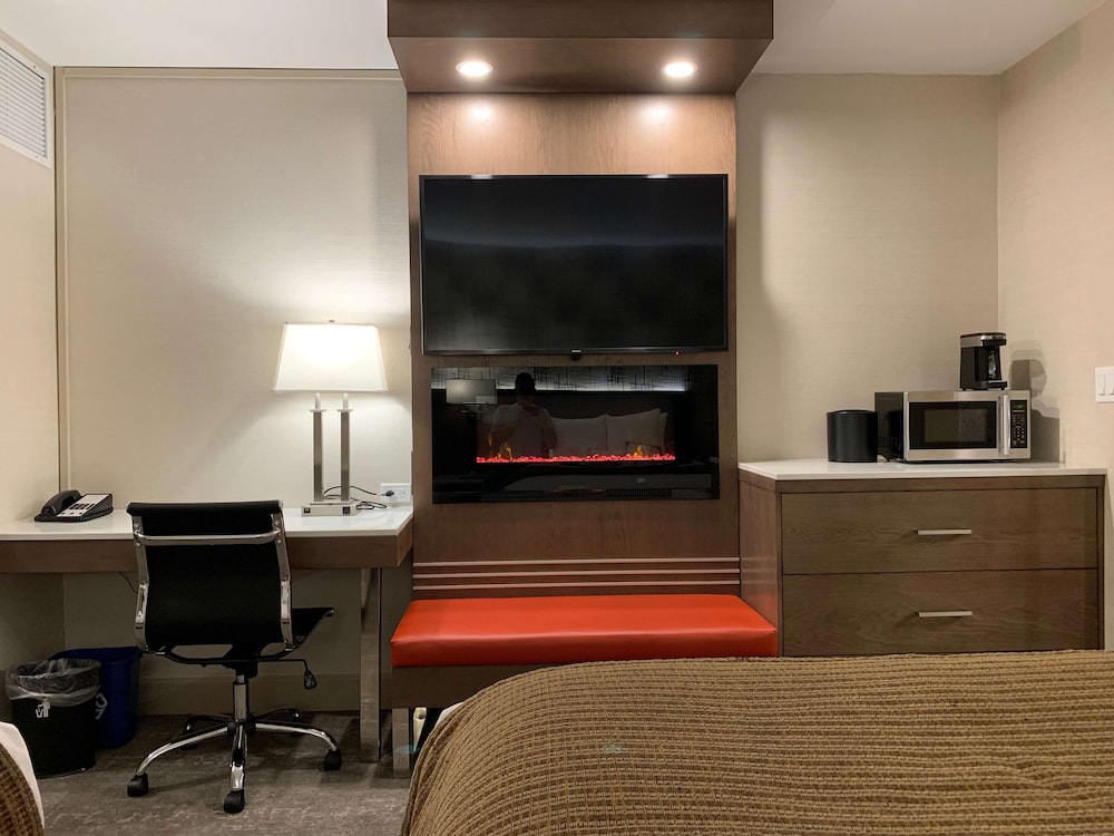 Best Western Plus City Centre Inn 47/52