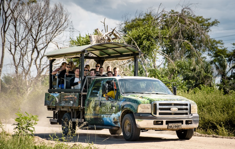 Pantanal Jungle Lodge 15/25