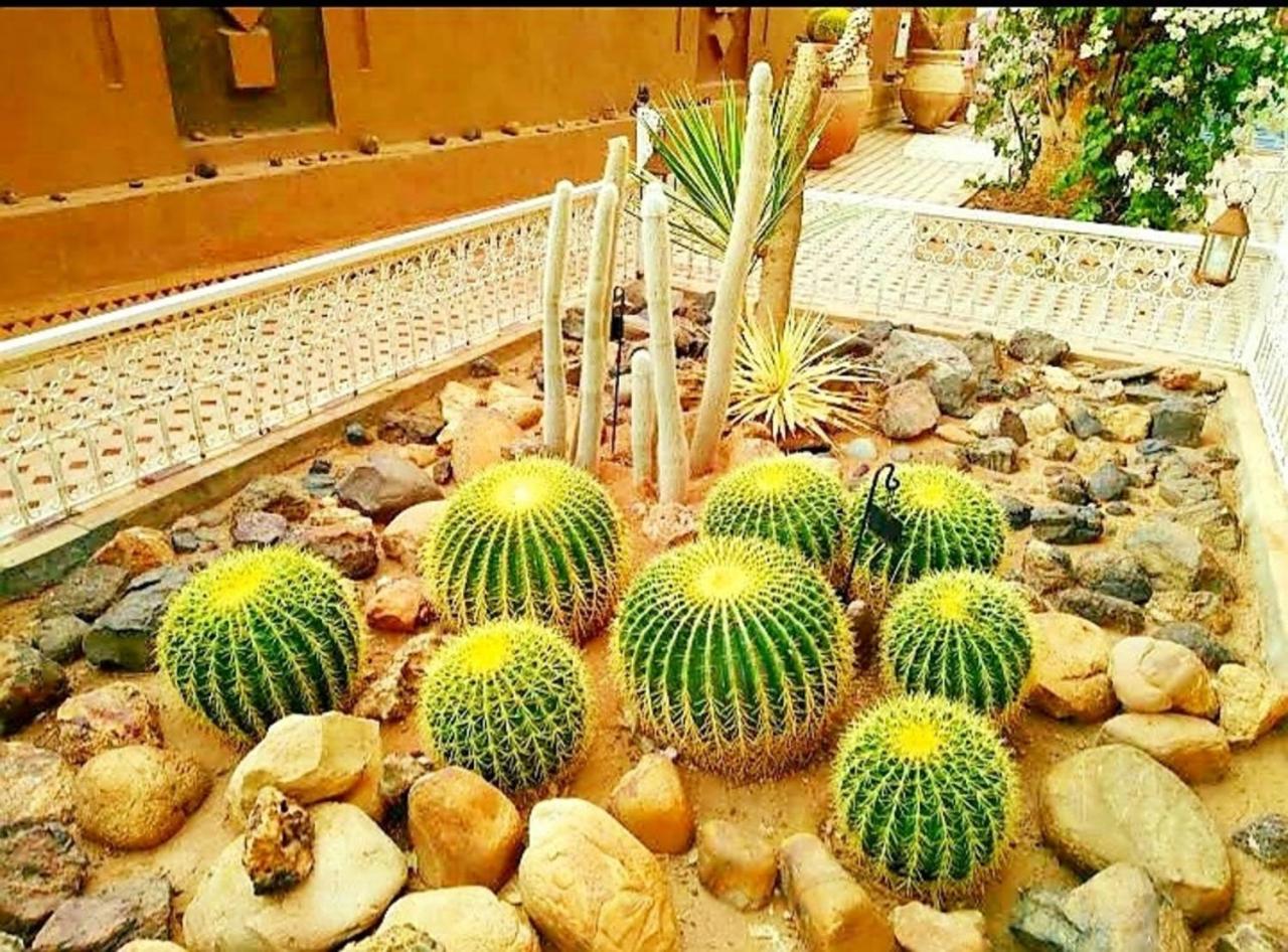 Riad Dar Soufiane 25/59