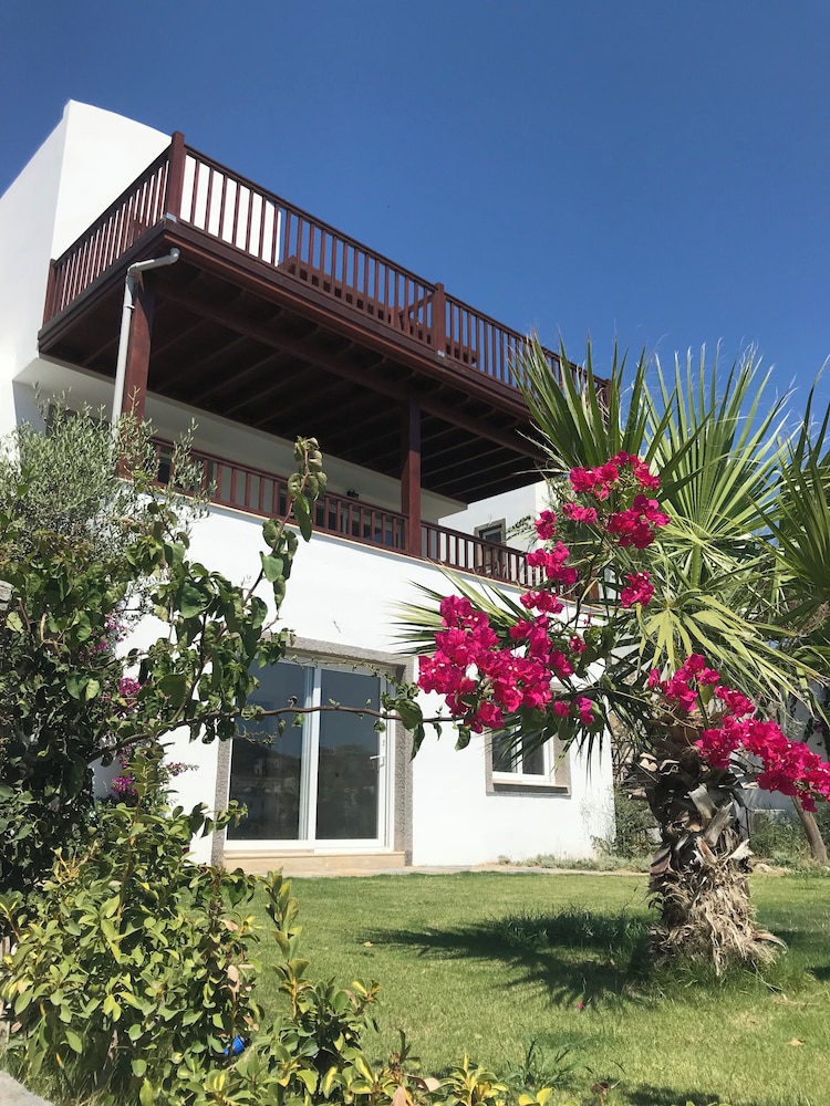 Ibak Sunny Houses 2/50