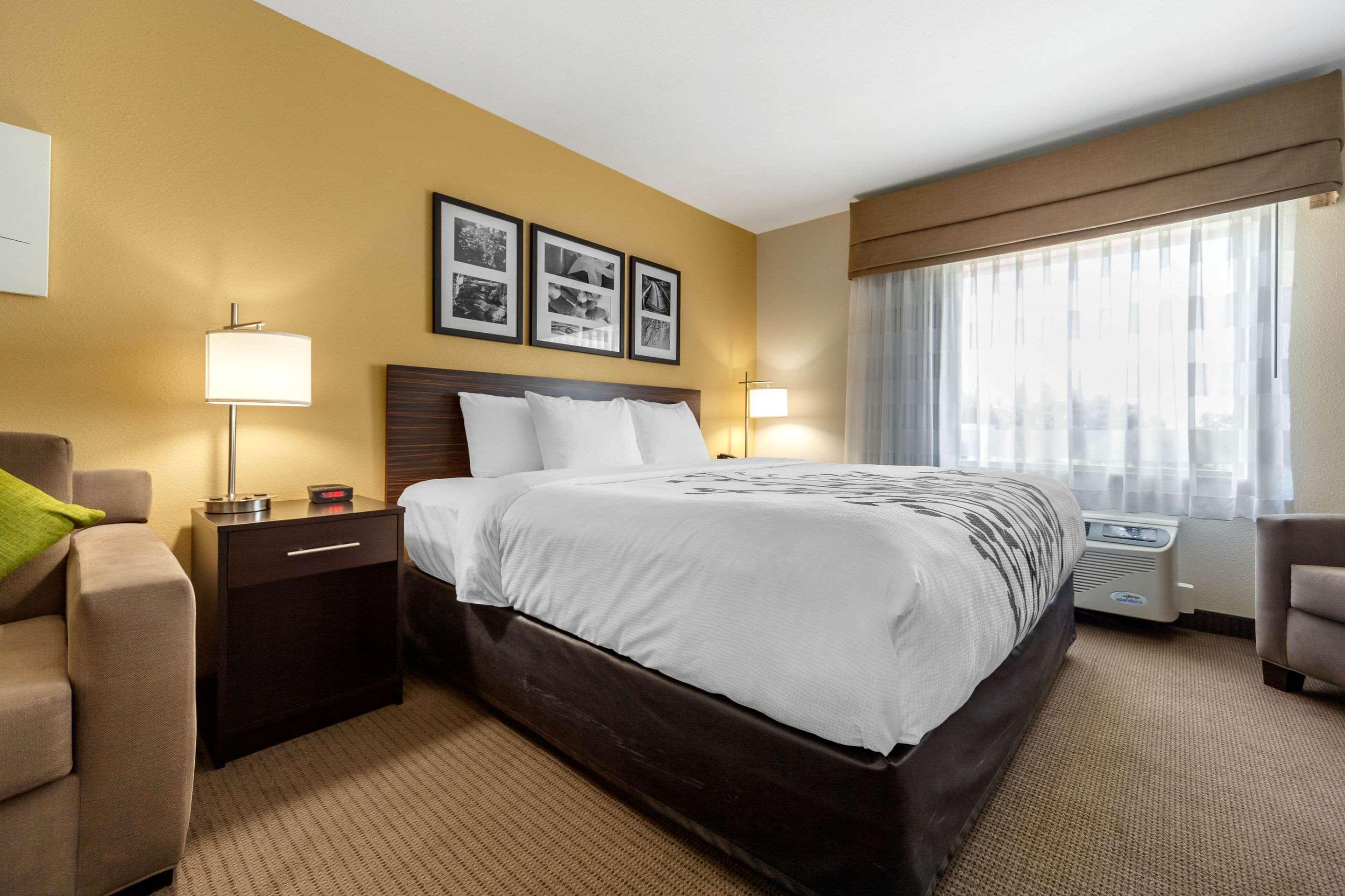 SUITE, KING BED