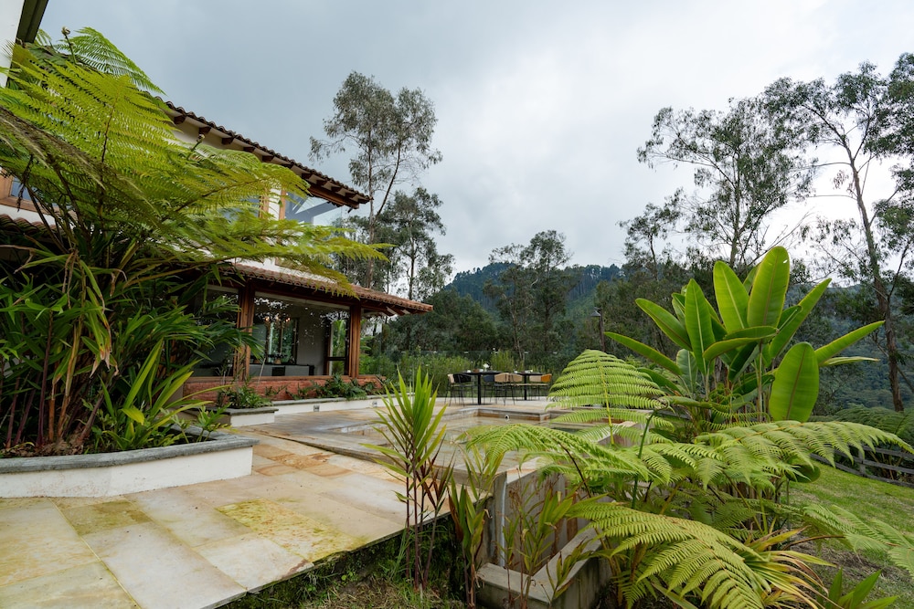 Termales Del Otono 70/74