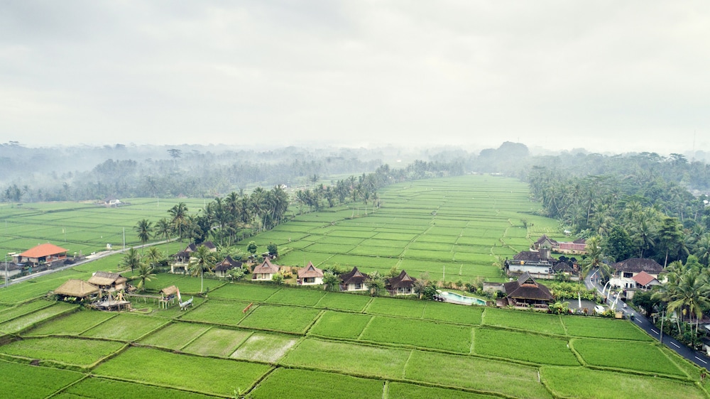Kabinawa Ubud Villas and Cafe 19/50