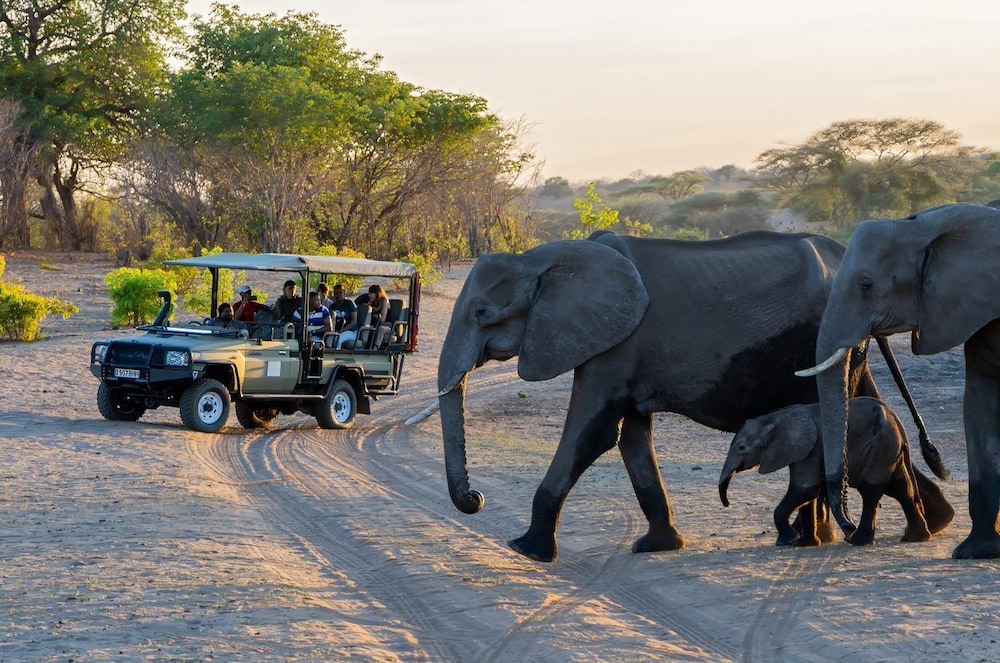 Elephant Valley Lodge 31/50