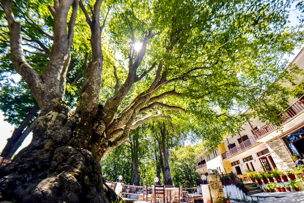 Hani Zisi Hotel 40/50