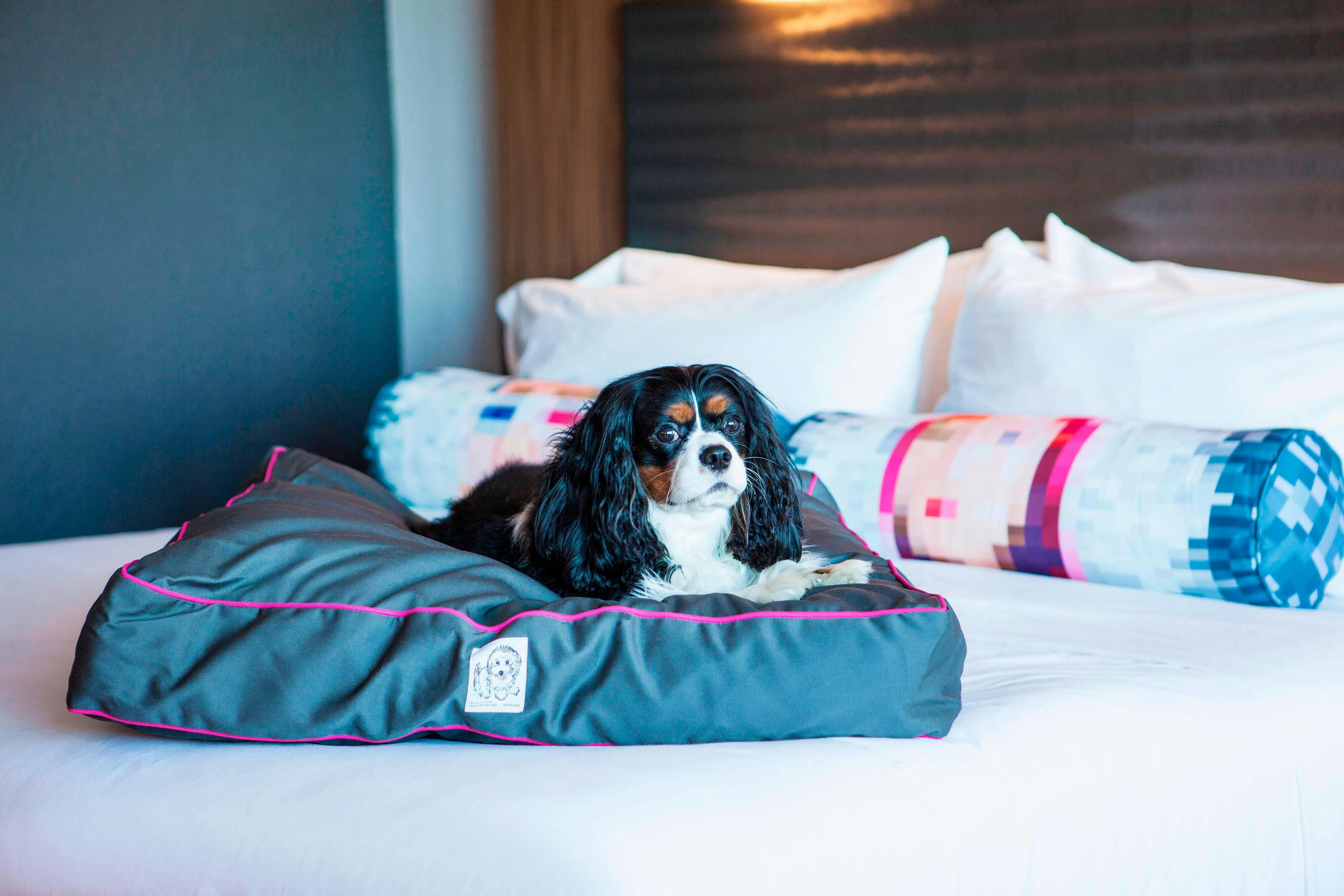Aloft Miami Dadeland 9/26