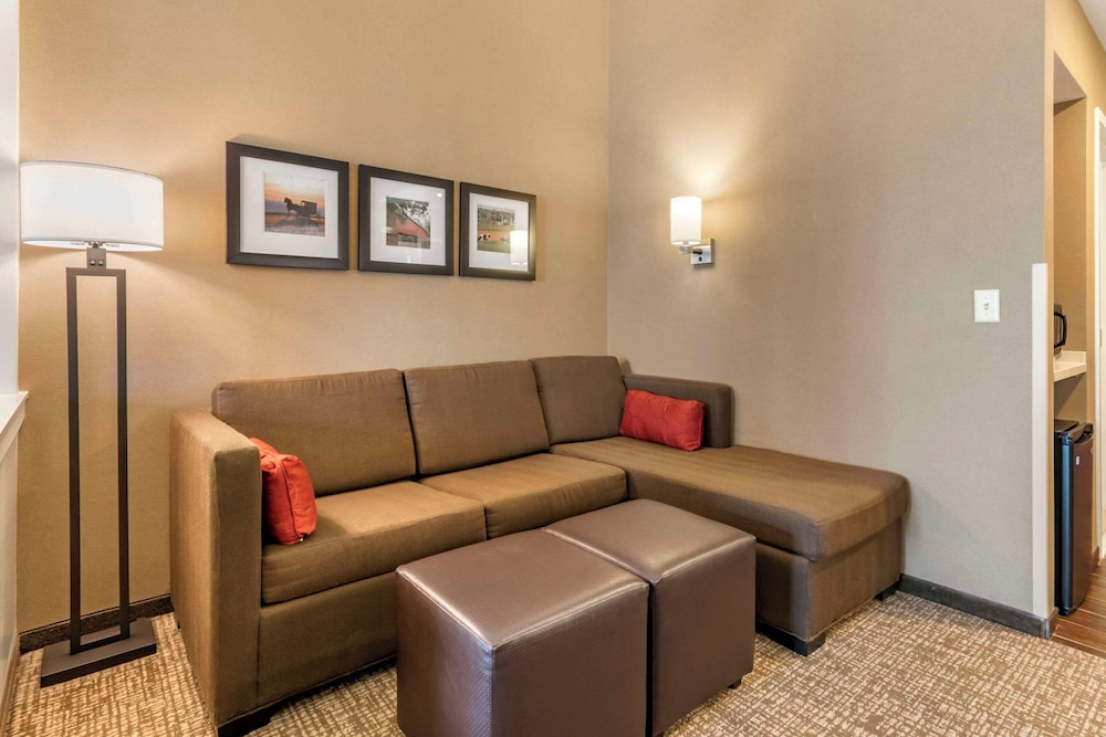 Comfort Suites Manheim - Lancaster 34/55