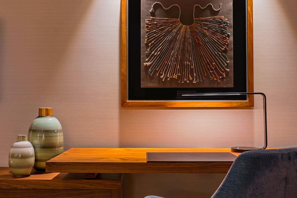 Ritz Carlton Santiago 18/43